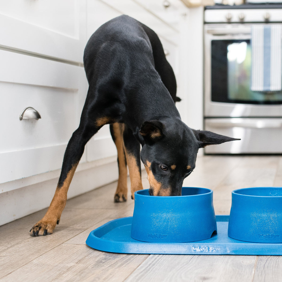 West Paw™ Non-Slip Dog Placemat