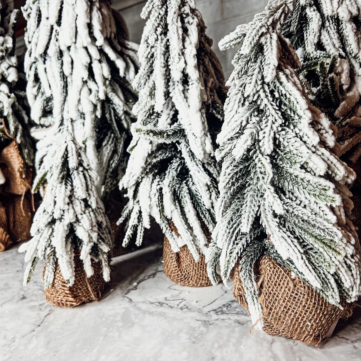 Snow Covered Trees OG