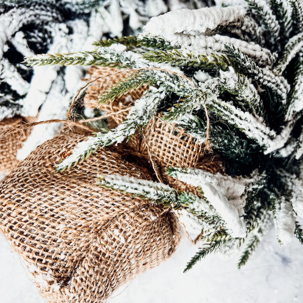 Snow Covered Trees OG