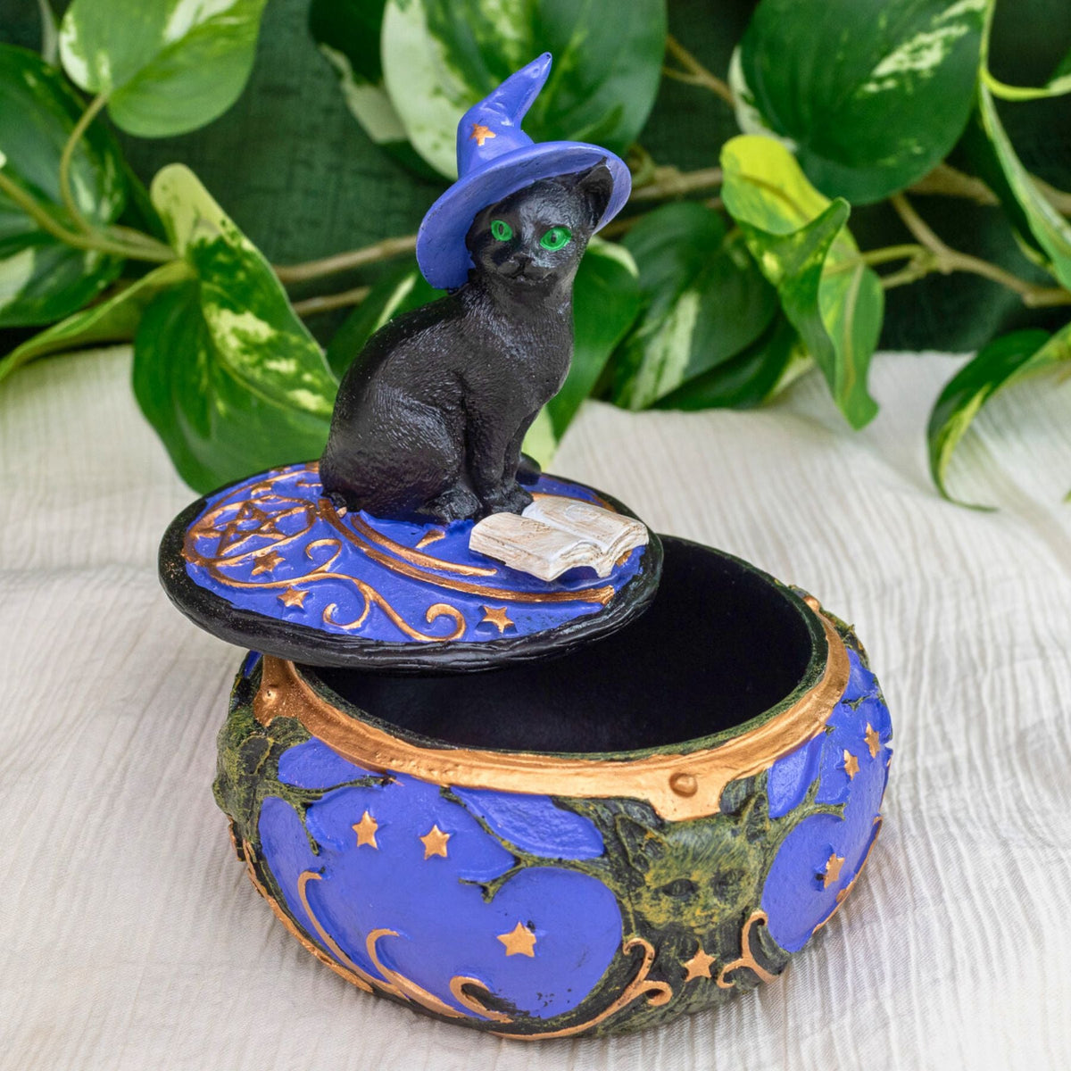 Magical Black Cat Trinket Box