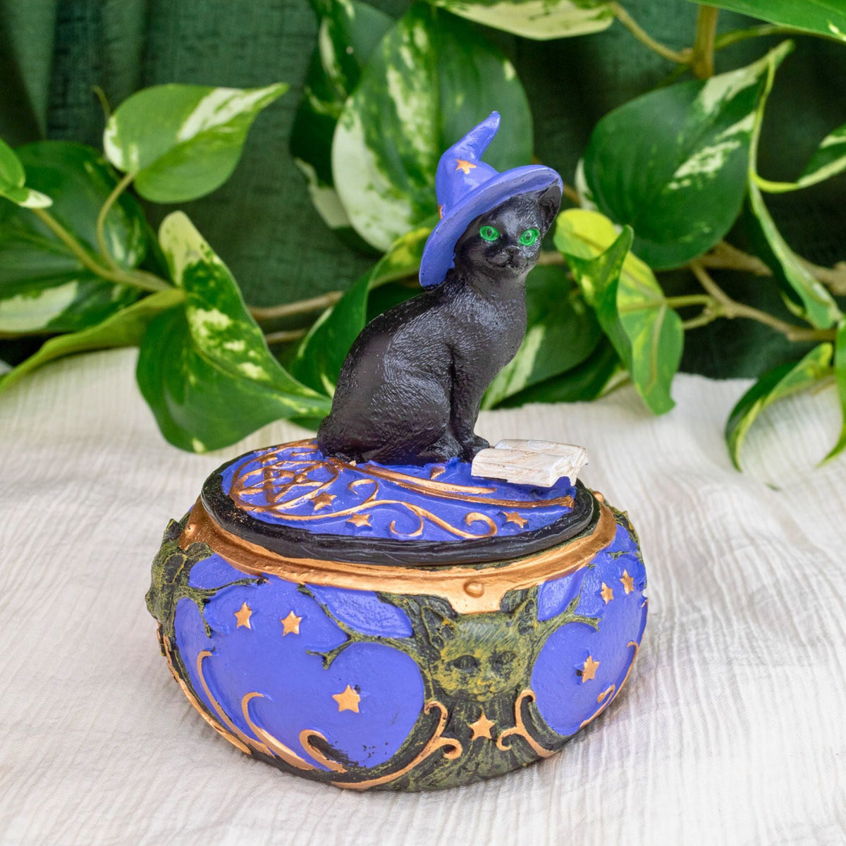 Magical Black Cat Trinket Box
