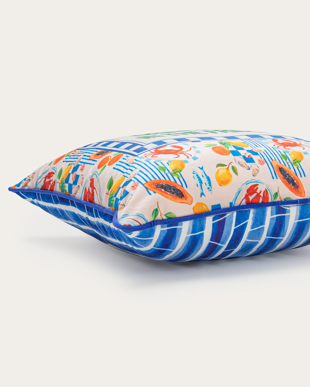Mood Theory — Drinks Are in the Fridge Pillow