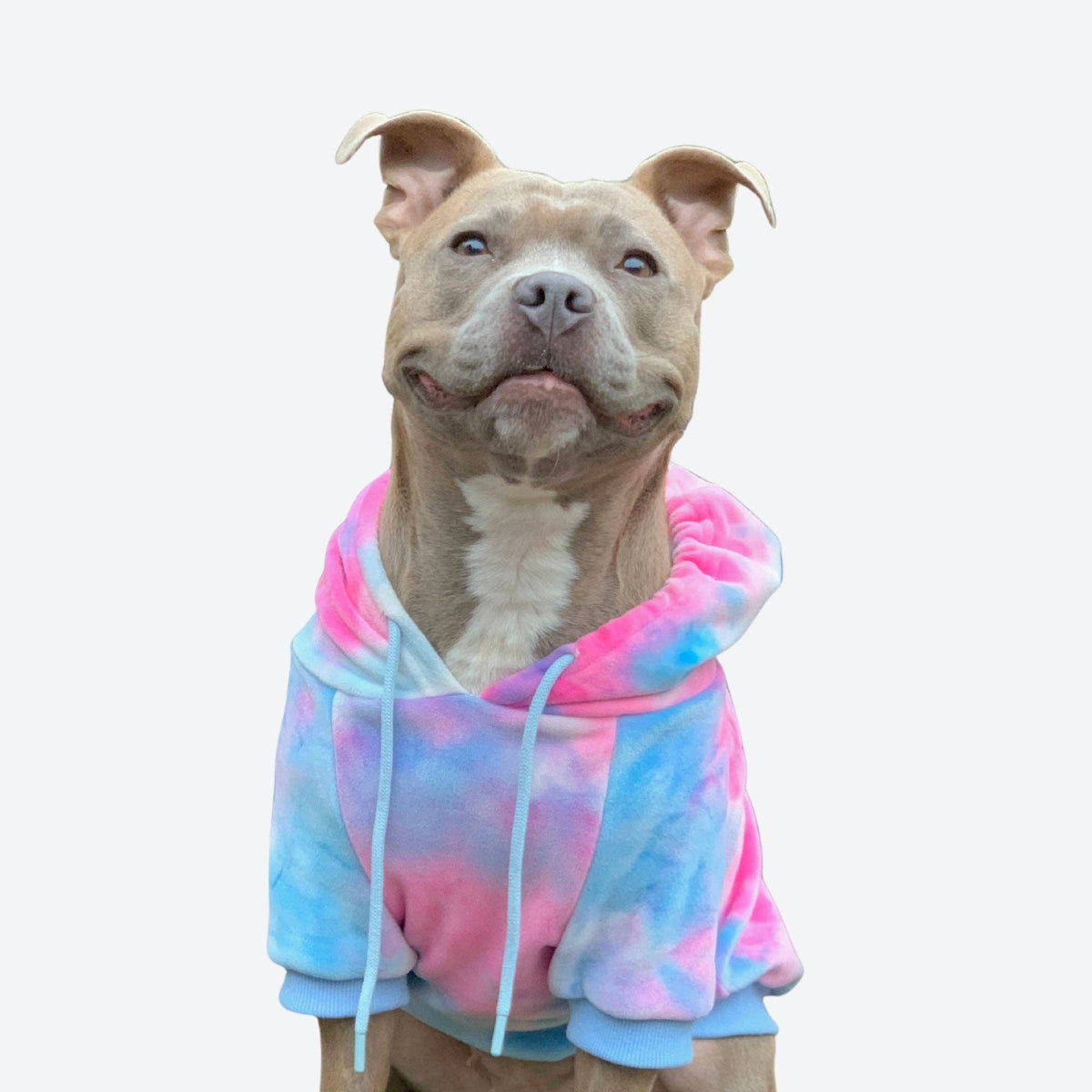 Spark Paws — Velvet Dog Hoodie – Snow Cone