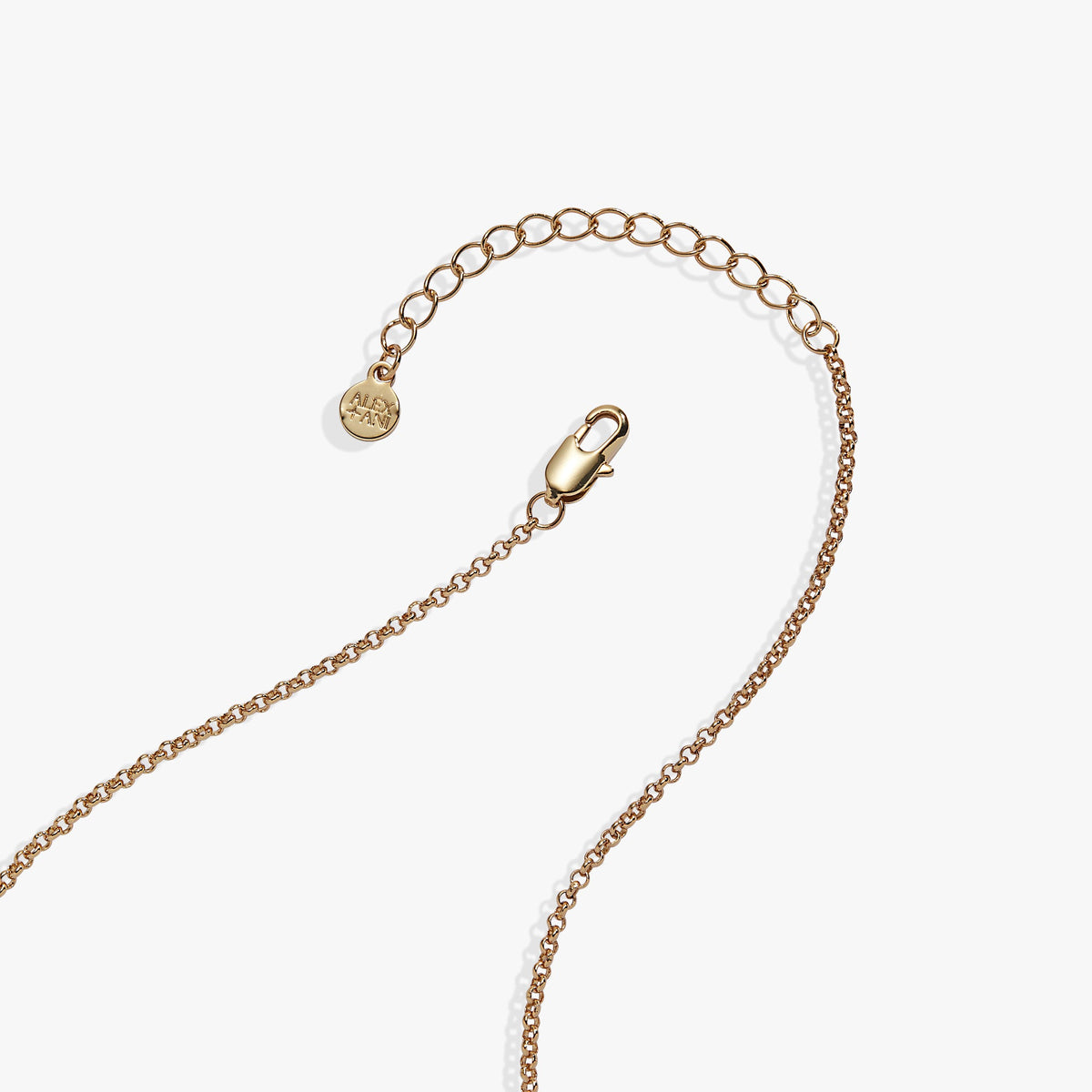 A Reader Lives a Thousand Lives Book Club Locket
